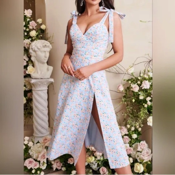 NWT lavish Alice Aria tie floral poplin cotton midi flare dress spring - Picture 1 of 5